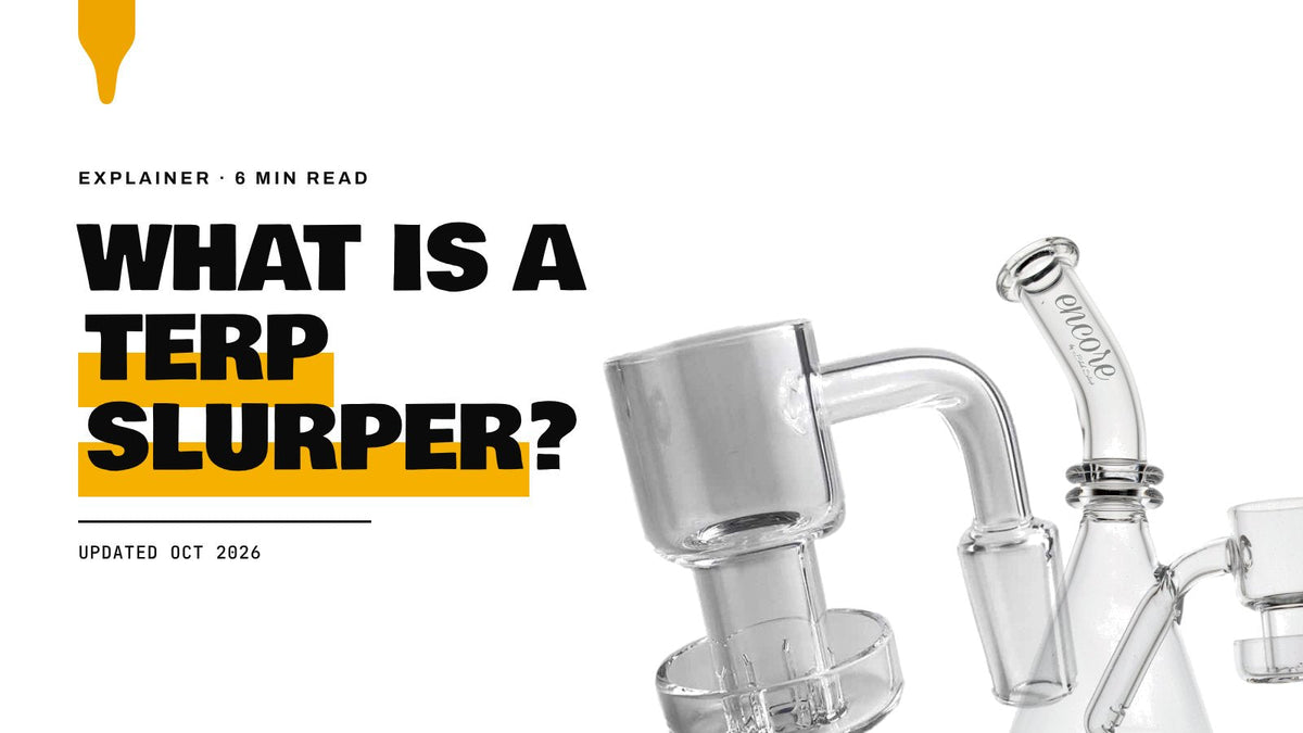 What Is a Terp Slurper: an Encore terp slurper rig and a quartz terp slurper banger on a white background