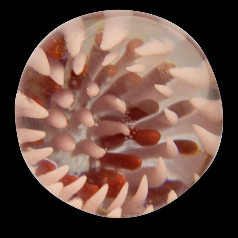 M2502 25mm Marble w/ Flower Design