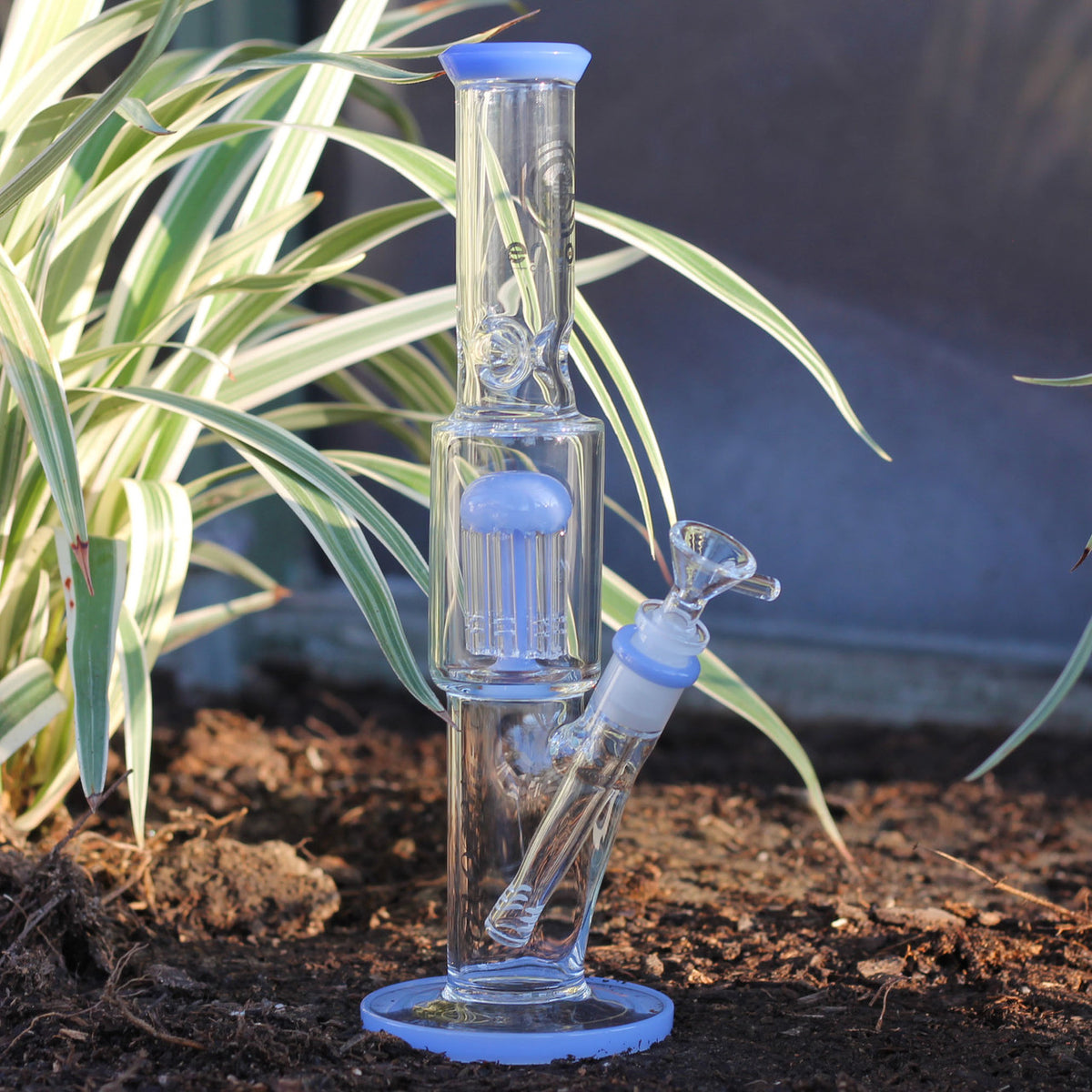 12"Encore 4mm Tree Straight with Color Accents