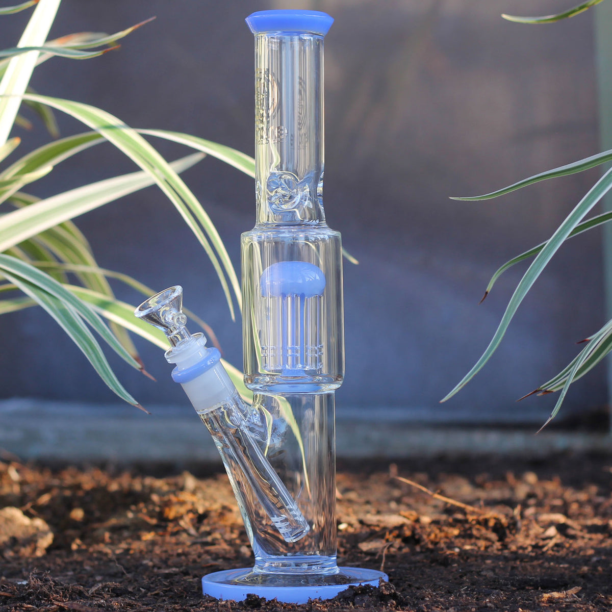 12"Encore 4mm Tree Straight with Color Accents